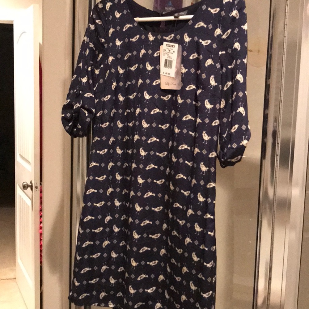 Lily Rose XS dress